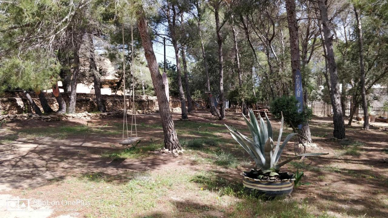 Casa Beja Villa San Francisco Javier Exterior foto